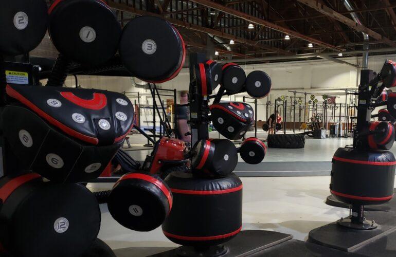 Gobierno y ejército 