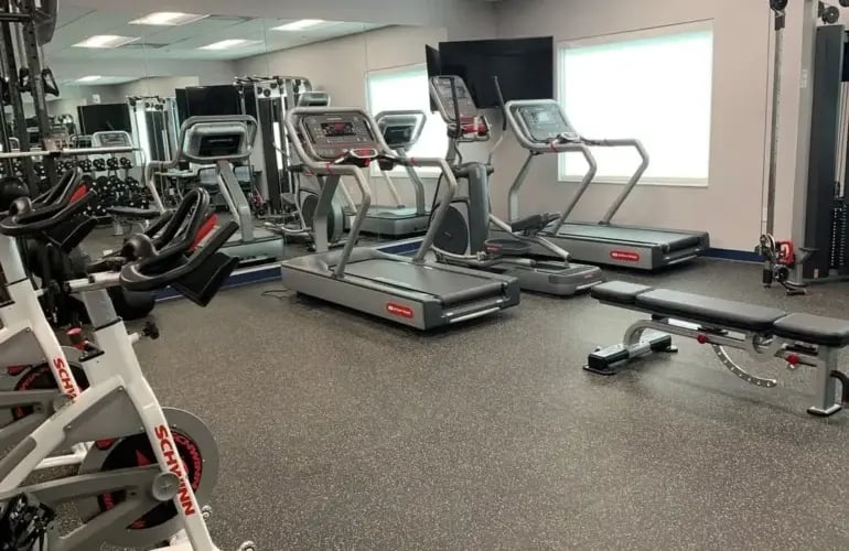 Gobierno y ejército 