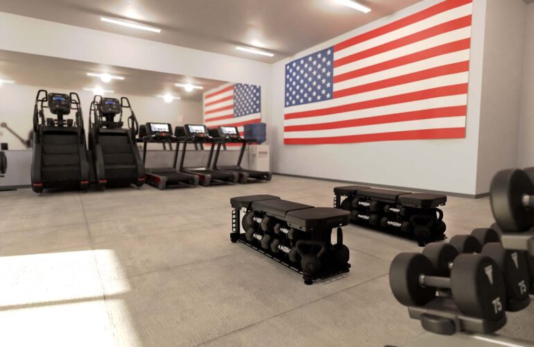 Gobierno y ejército 