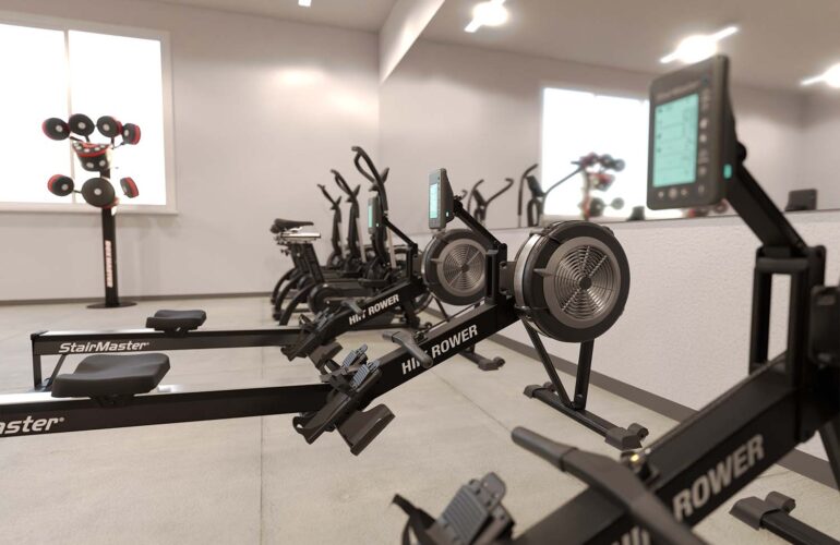 Gobierno y ejército 