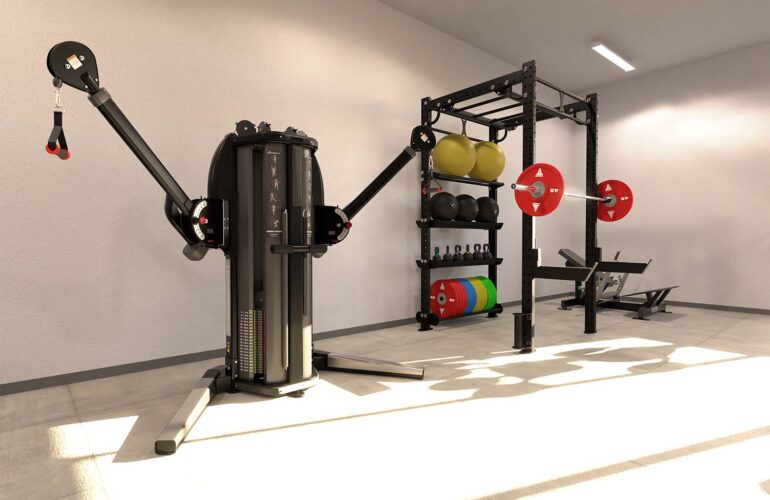 Gobierno y ejército 