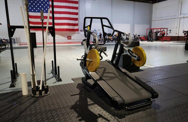 Gobierno y ejército 