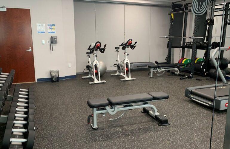 Gobierno y ejército 