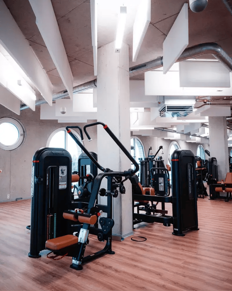 Fuerza 2- Adam & Eve Alemania Nautilus Inspiration 2