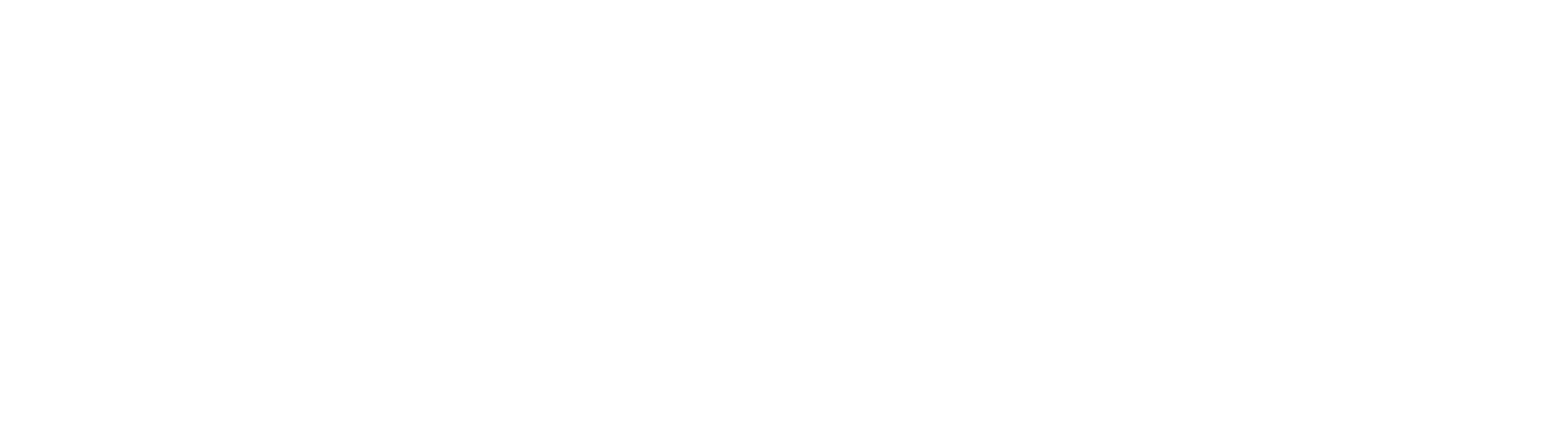 2026_Schwinn Logotipo blanco-61