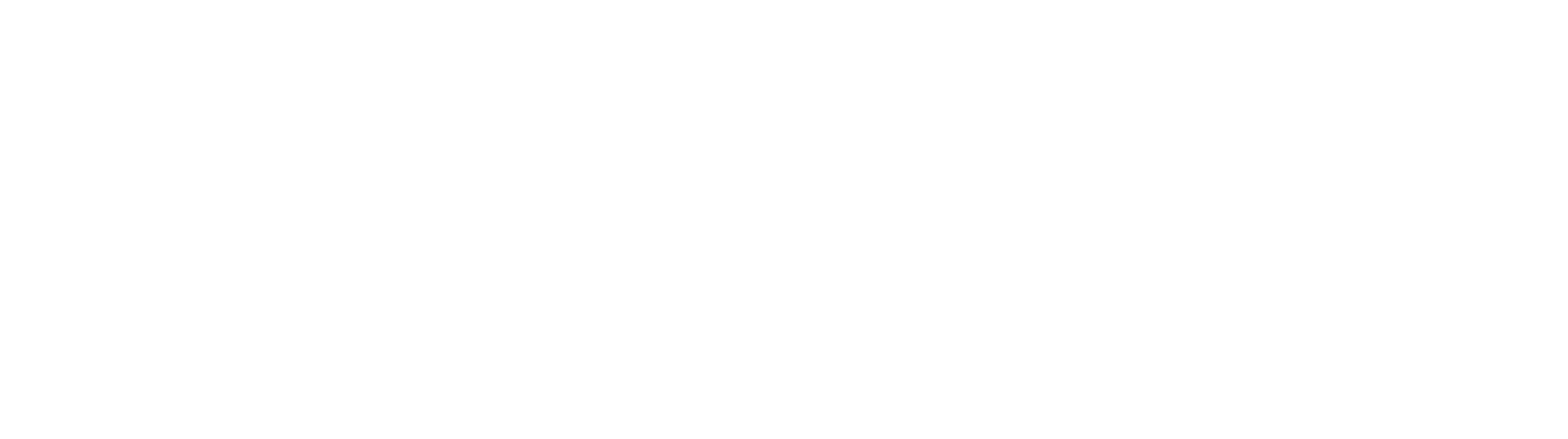 StairMaster Logotipo Blanco