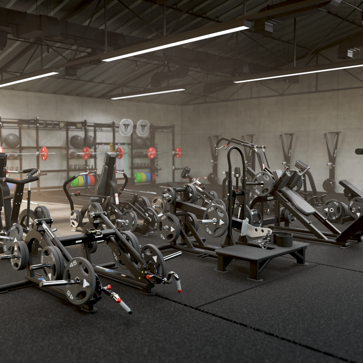 De la función al rendimiento: Cómo las tendencias del entrenamiento de fuerza están dando forma al futuro del fitness